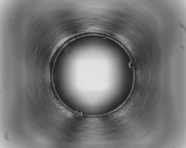 X0000096200931200801251009