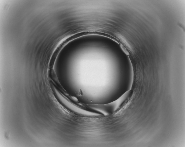 X0000096200932200801251009