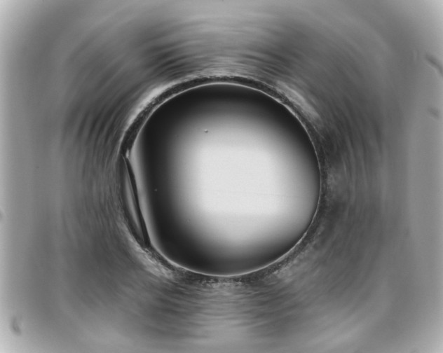 X0000096200934200801251009