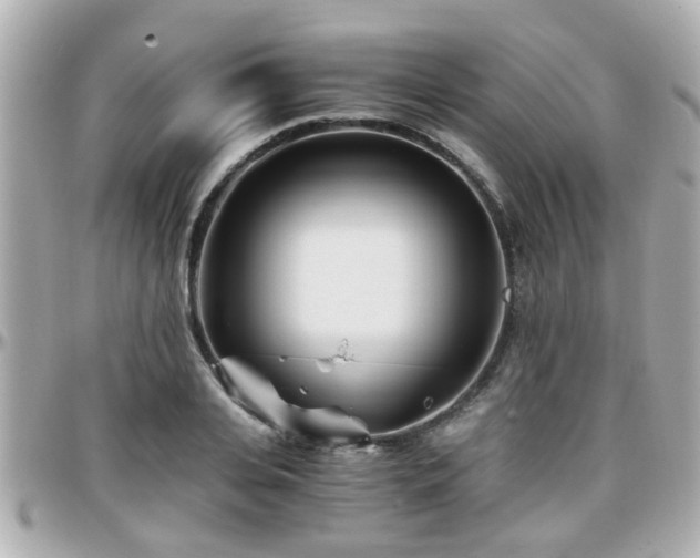 X0000096200935200801251009