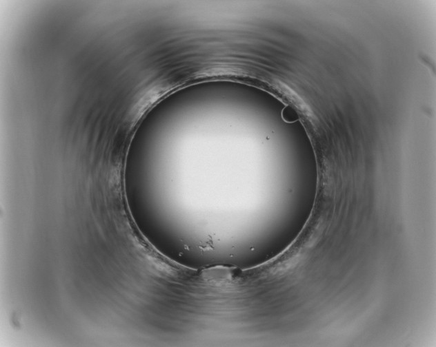 X0000096200937200801251009