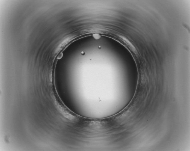 X0000096200938200801251009