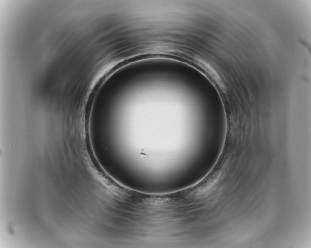 X0000096200939200801251009