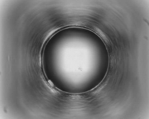 X0000096200940200801251009