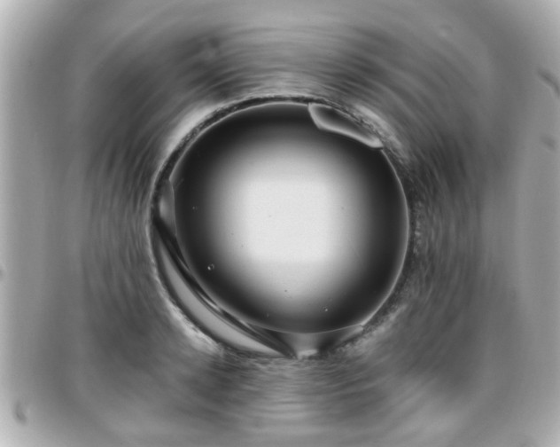 X0000096200942200801251009