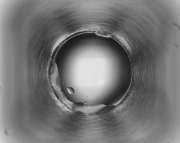 X0000096200944200801251009