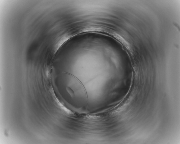 X0000096200945200801251009