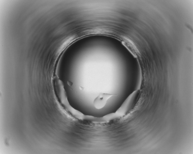 X0000096200946200801251009