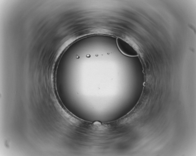 X0000096200947200801251010