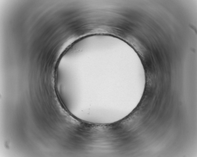 X0000096200950200801251010