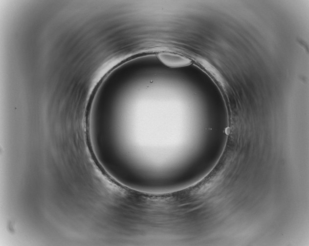 X0000096200951200801251010