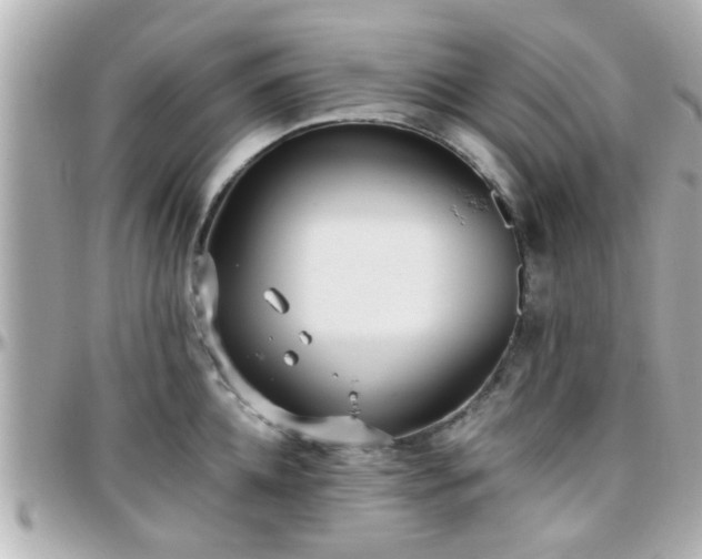 X0000096200952200801251010
