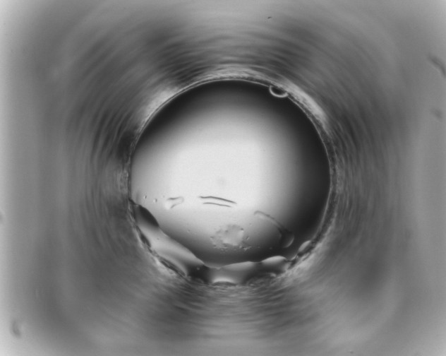 X0000096200953200801251010
