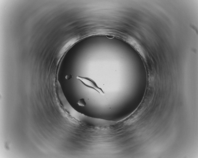 X0000096200954200801251010
