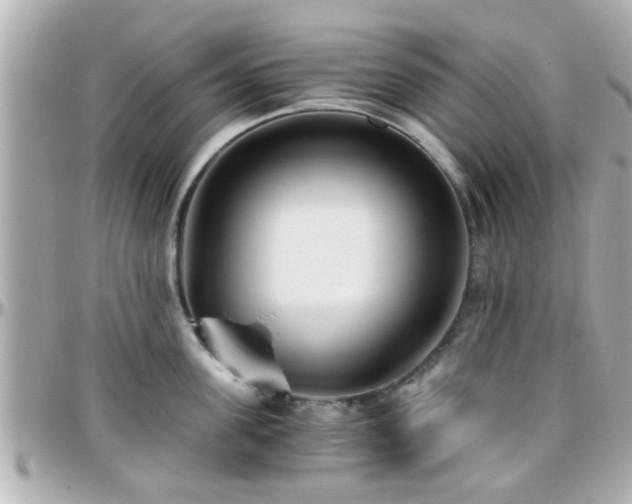 X0000096200955200801251010
