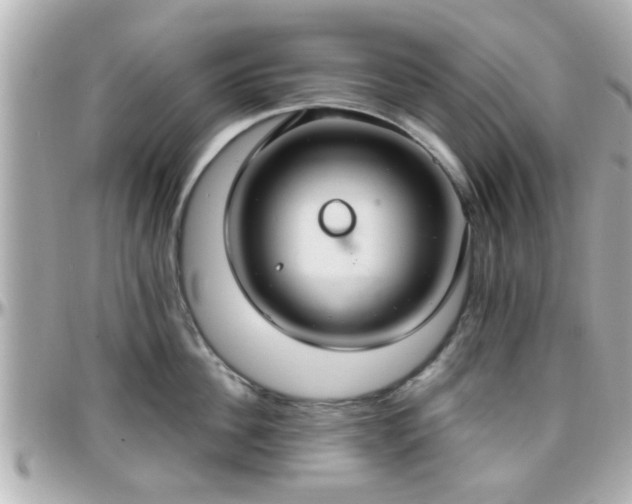 X0000096200956200801251010