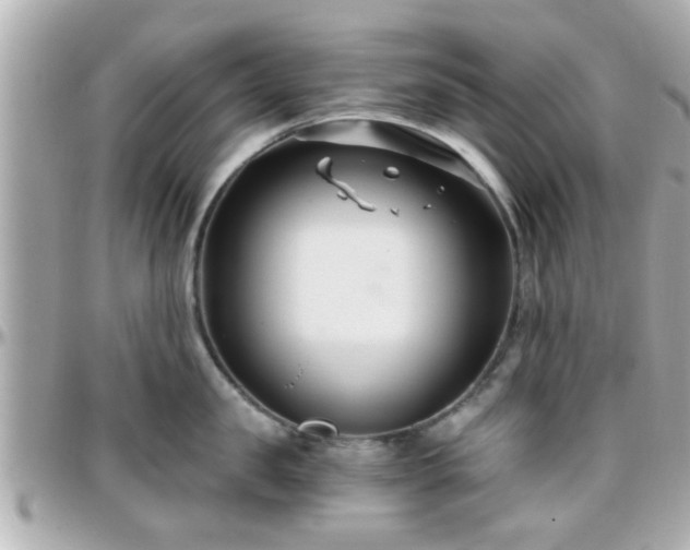 X0000096200957200801251010