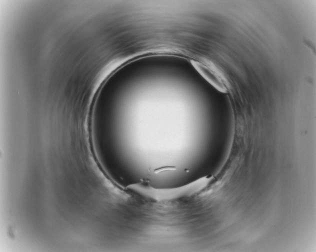 X0000096200959200801251010