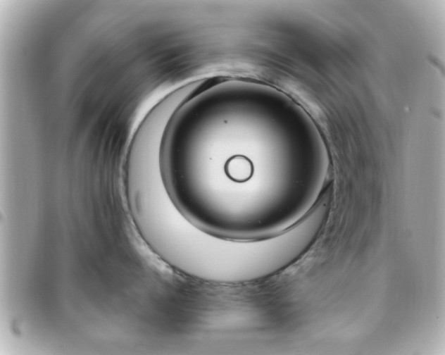 X0000096200960200801251010