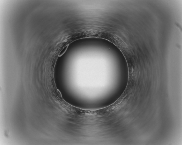 X0000096200961200801251009