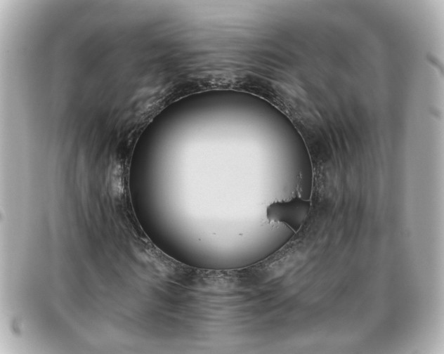 X0000096200962200801251009