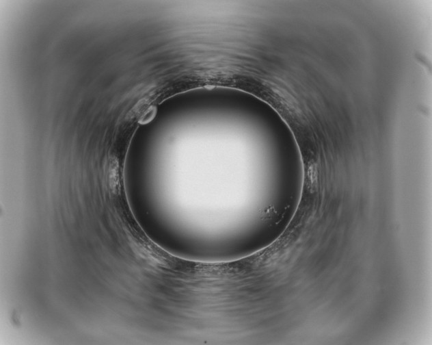 X0000096200963200801251009