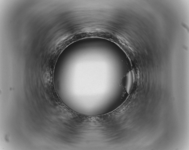 X0000096200966200801251009
