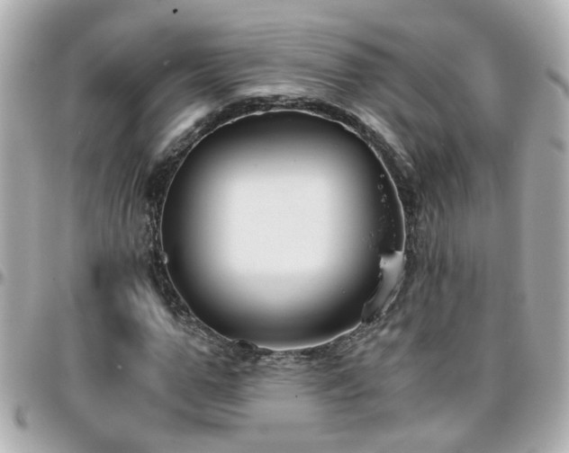 X0000096200967200801251009