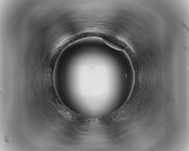 X0000096200968200801251009