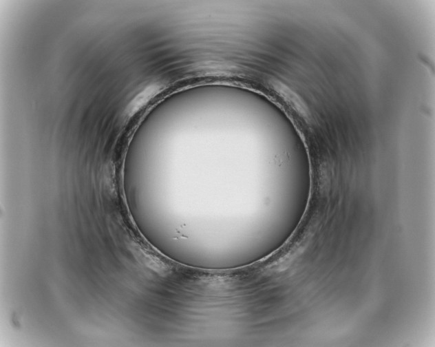X0000096200970200801251009