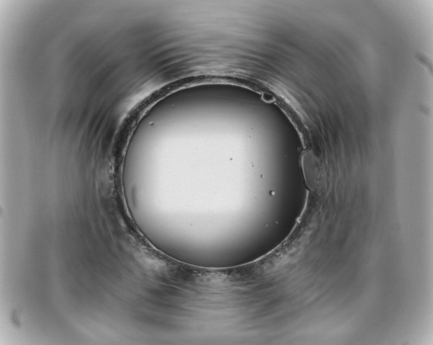 X0000096200971200801251009
