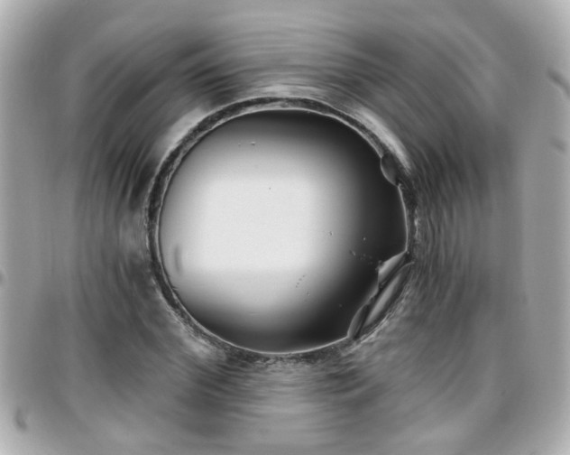X0000096200972200801251009