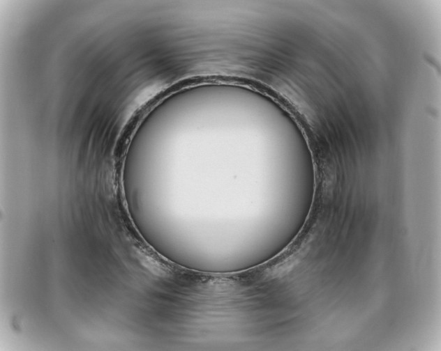 X0000096200974200801251009
