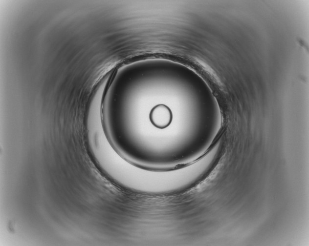 X0000096200977200801251009