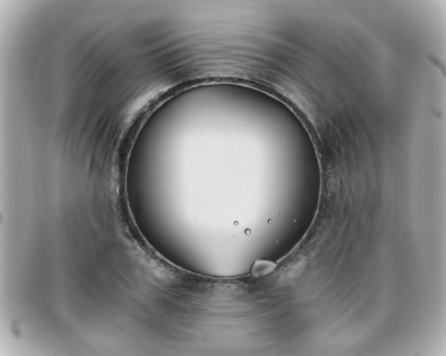 X0000096200979200801251009