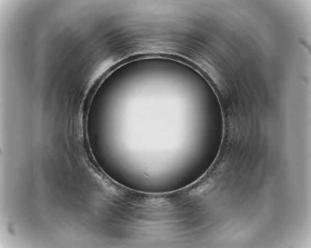 X0000096200982200801251009