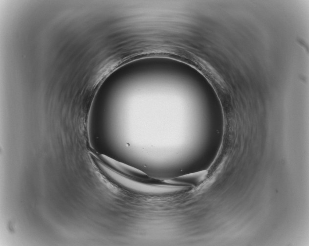 X0000096200985200801251009