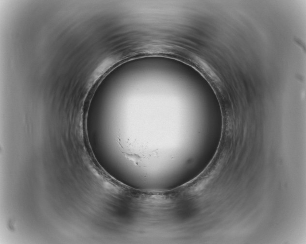 X0000096200986200801251009