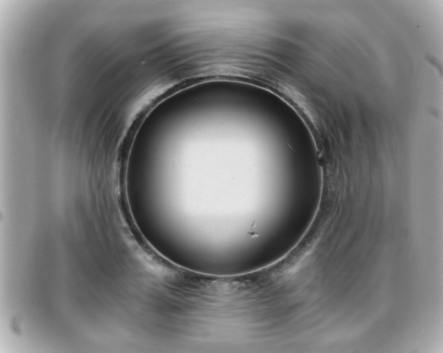 X0000096200987200801251009