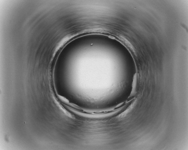 X0000096200989200801251009