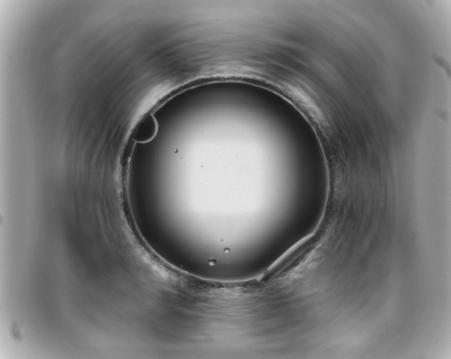 X0000096200990200801251009