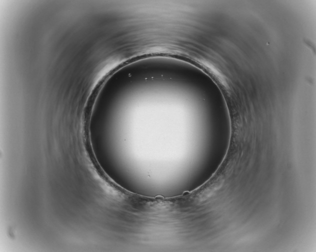 X0000096200991200801251009