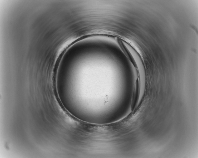 X0000096200995200801251009