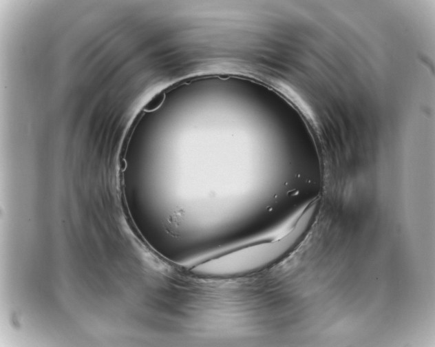 X0000096200996200801251009