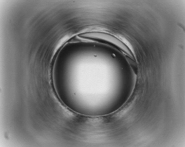 X0000096200997200801251009