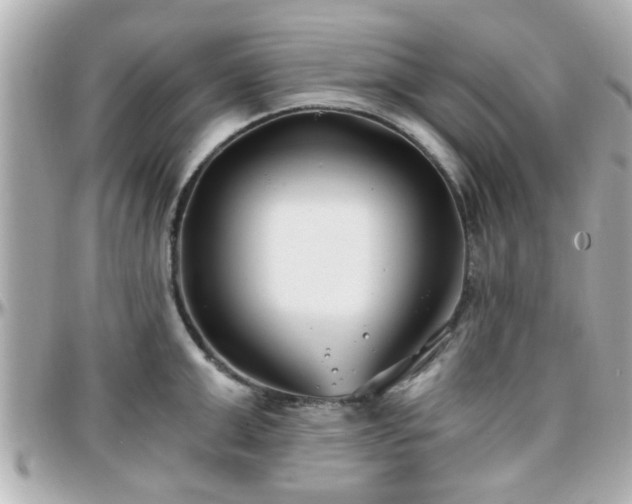 X0000096200999200801251009