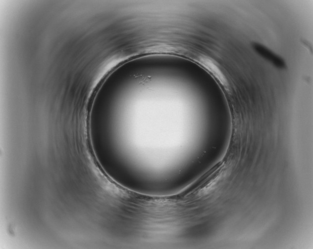 X0000096201000200801251009