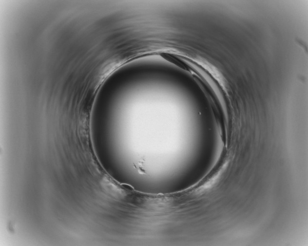 X0000096201001200801251008