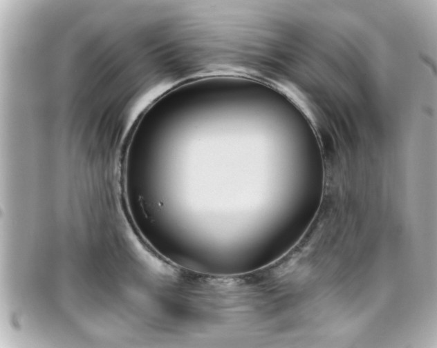 X0000096201003200801251008
