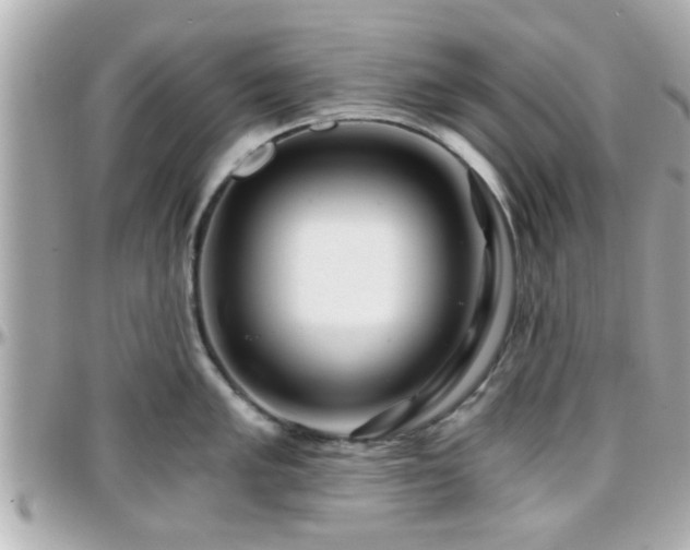 X0000096201005200801251008